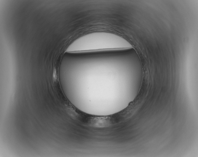 X0000113240089200909100931