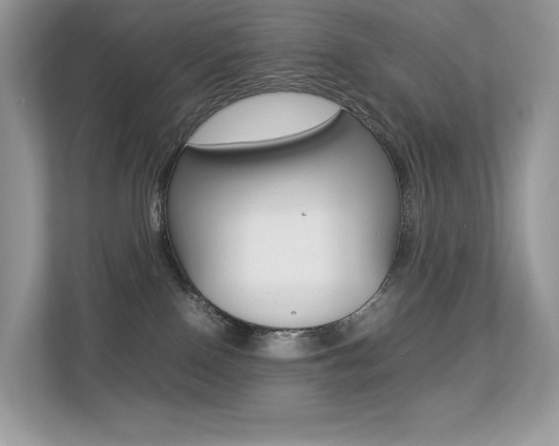 X0000113240090200909100931