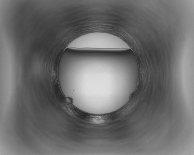 X0000113240091200909100931