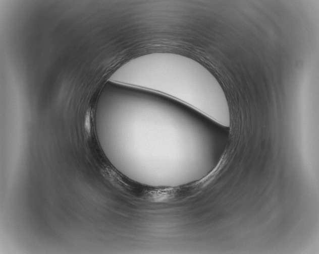 X0000113240094200909100931