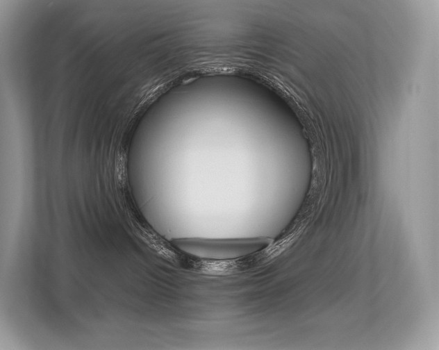 X0000113240096200909100931