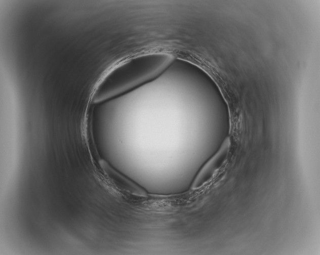 X0000113240100200909100931