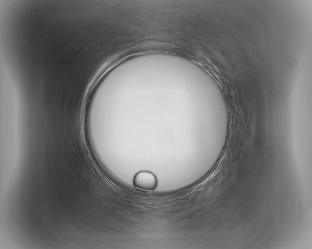 X0000113240101200909100931