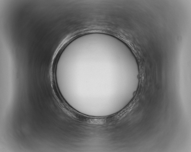 X0000113240102200909100931