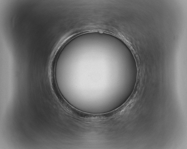 X0000113240103200909100931