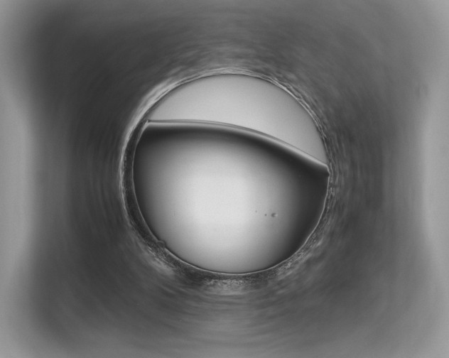 X0000113240104200909100931