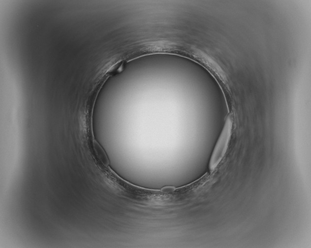 X0000113240105200909100931