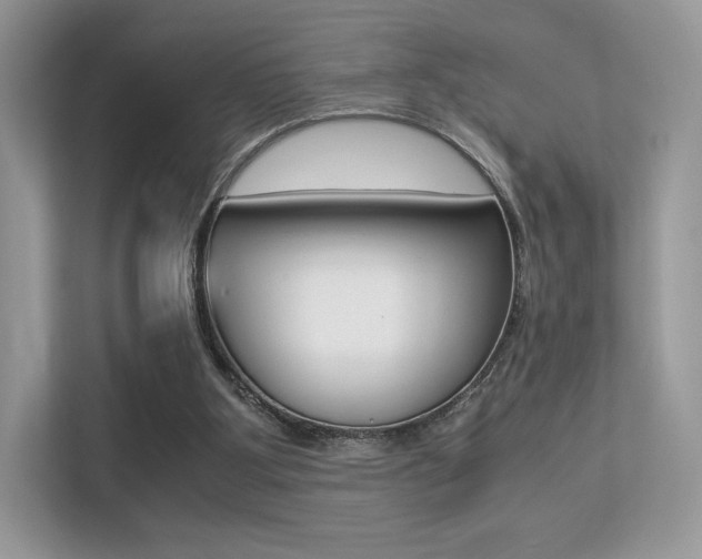 X0000113240107200909100931