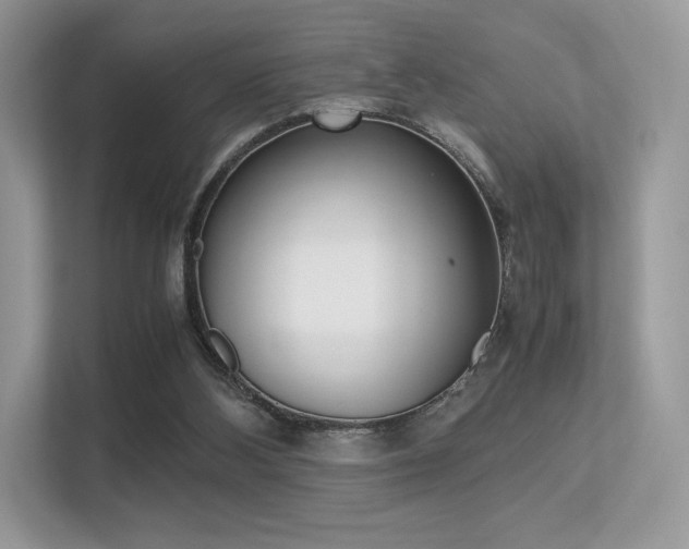 X0000113240108200909100931