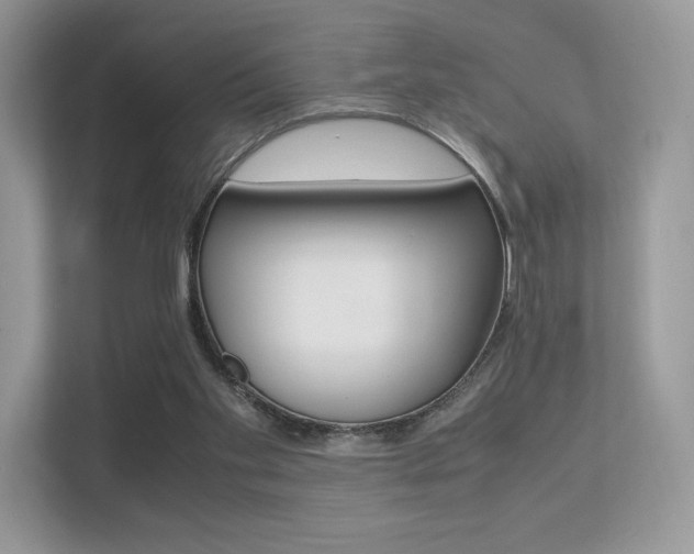 X0000113240109200909100931