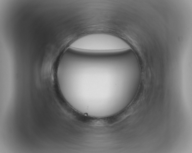 X0000113240115200909100930