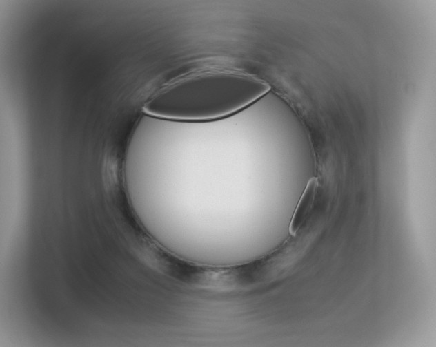 X0000113240117200909100930