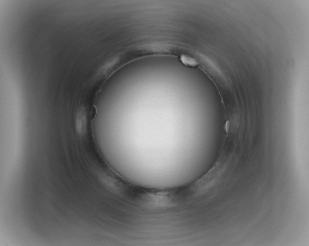 X0000113240120200909100930