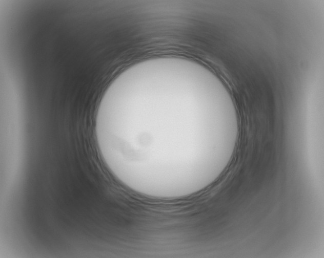 X0000113240121200909100930