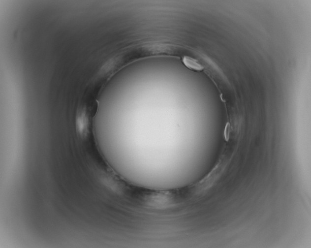 X0000113240124200909100930