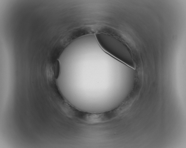 X0000113240129200909100930