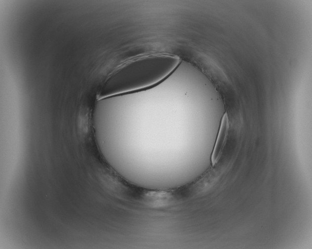 X0000113240133200909100930