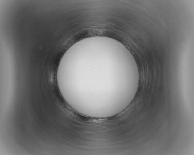 X0000113240134200909100930