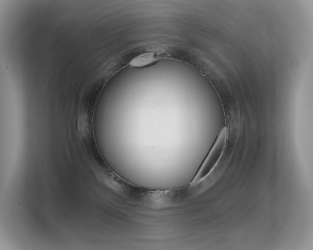 X0000113240136200909100930