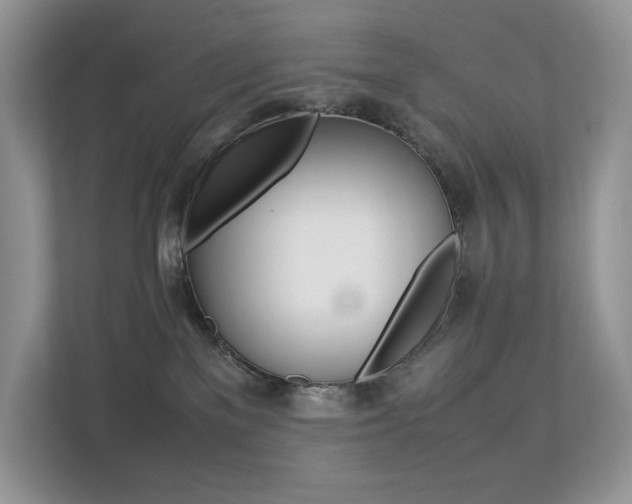 X0000113240137200909100930