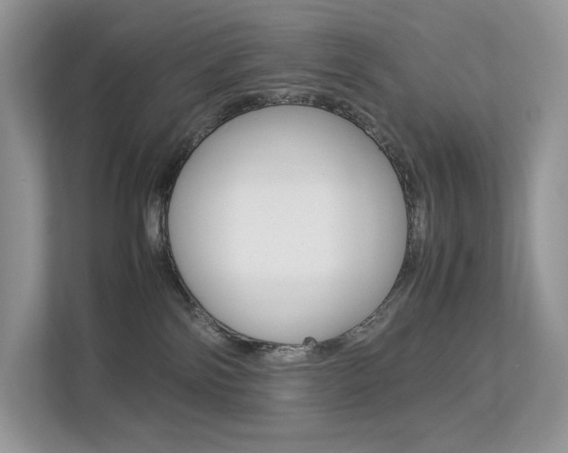 X0000113240138200909100930