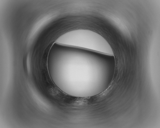 X0000113240140200909100930