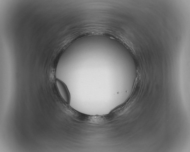 X0000113240141200909100930