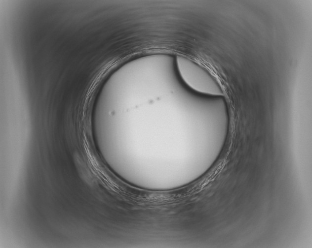 X0000113240145200909100929