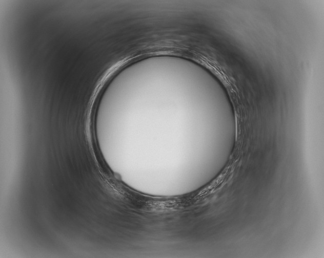 X0000113240147200909100929