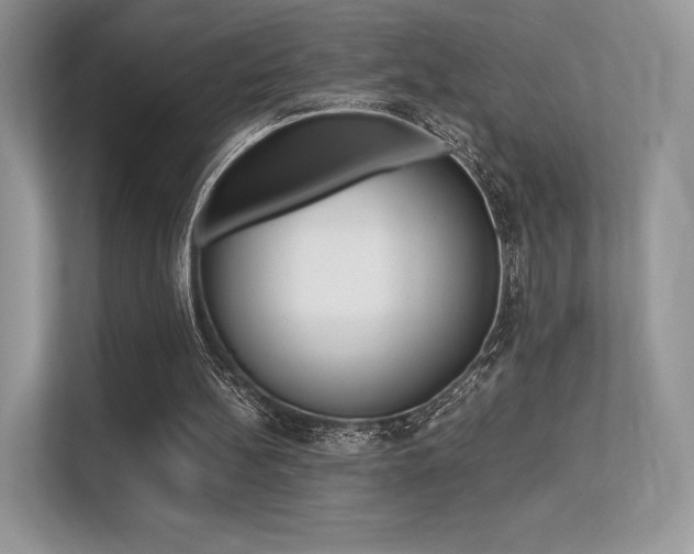 X0000113240148200909100929