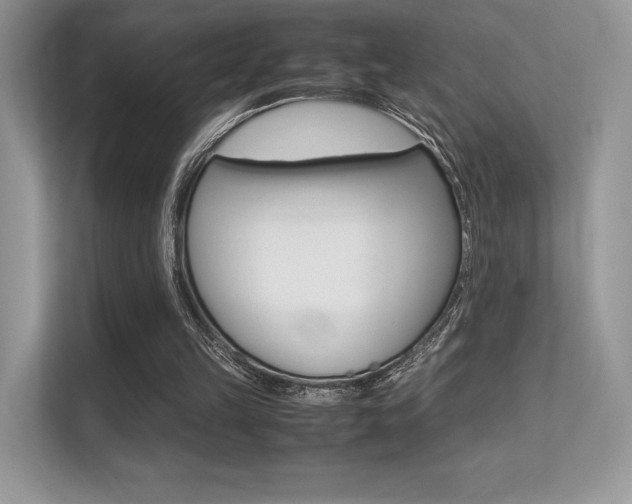 X0000113240149200909100929