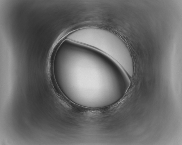 X0000113240150200909100930