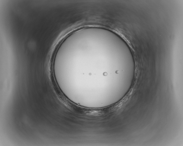 X0000113240151200909100930