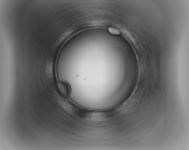 X0000113240154200909100930
