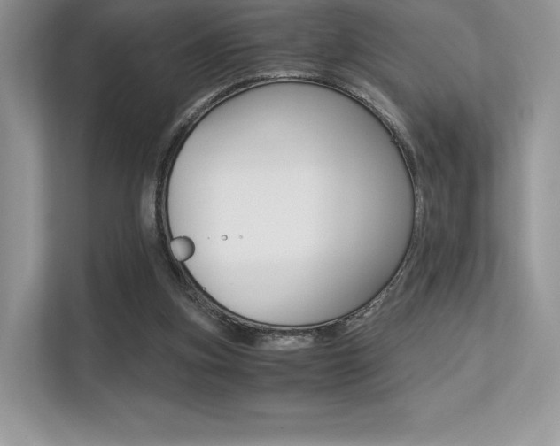 X0000113240155200909100930