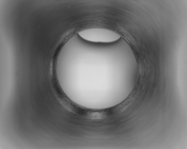X0000113240163200909100930