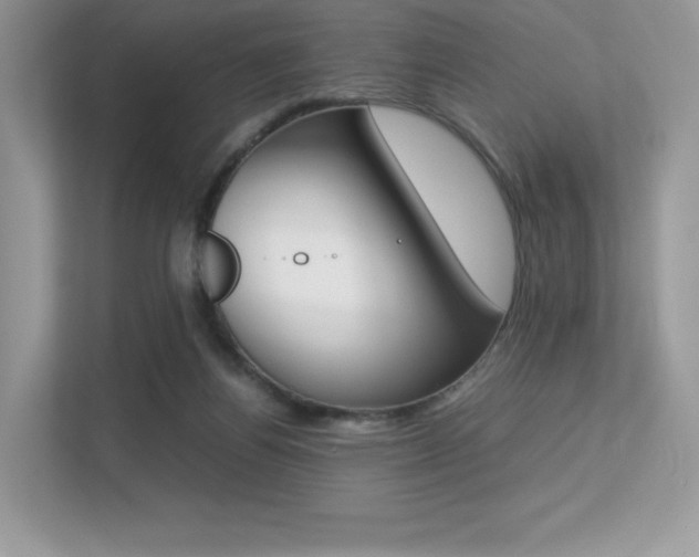 X0000113240164200909100930