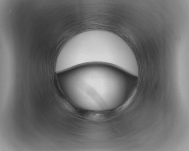 X0000113240174200909100930