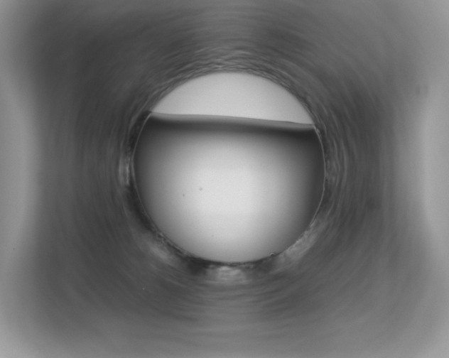 X0000113240180200909100930