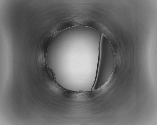 X0000113240186200909100930