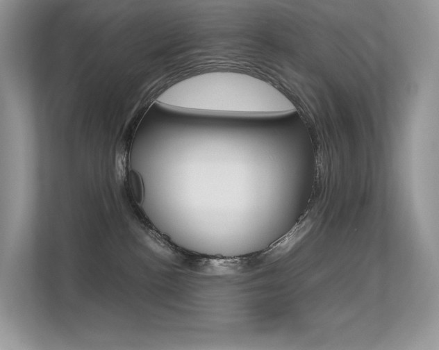 X0000113240188200909100930