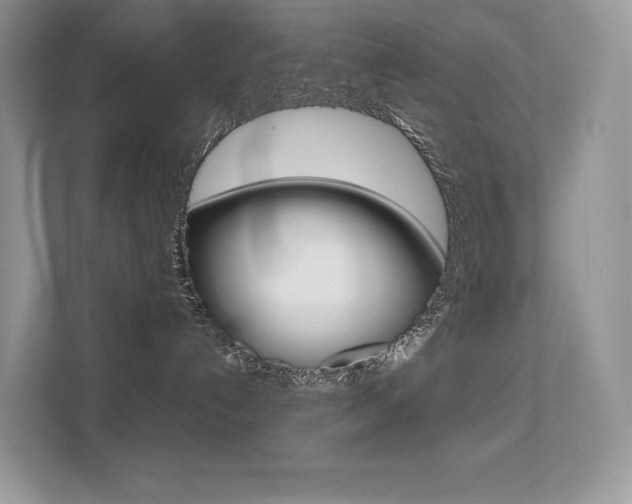 X0000113240192200909100930