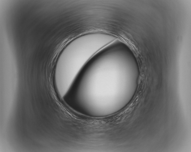 X0000113240193200909100929