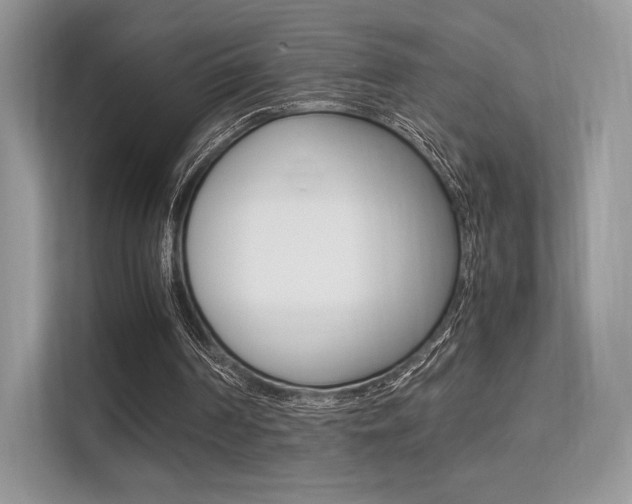 X0000113240194200909100929