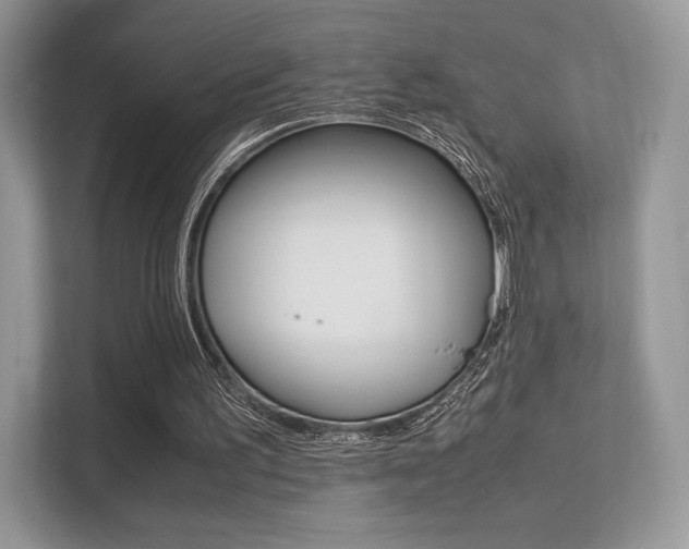 X0000113240195200909100929