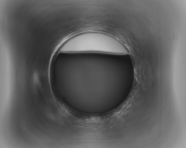 X0000113240196200909100929