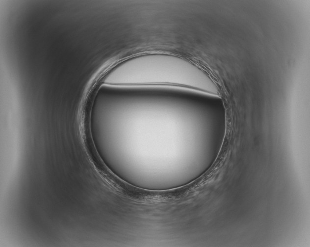 X0000113240197200909100929