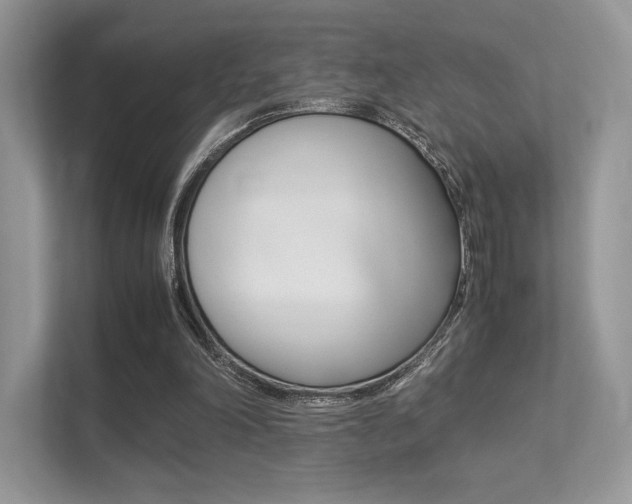 X0000113240198200909100929