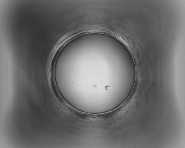 X0000113240199200909100929