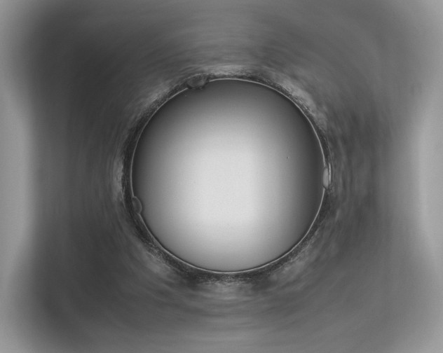 X0000113240201200909100929